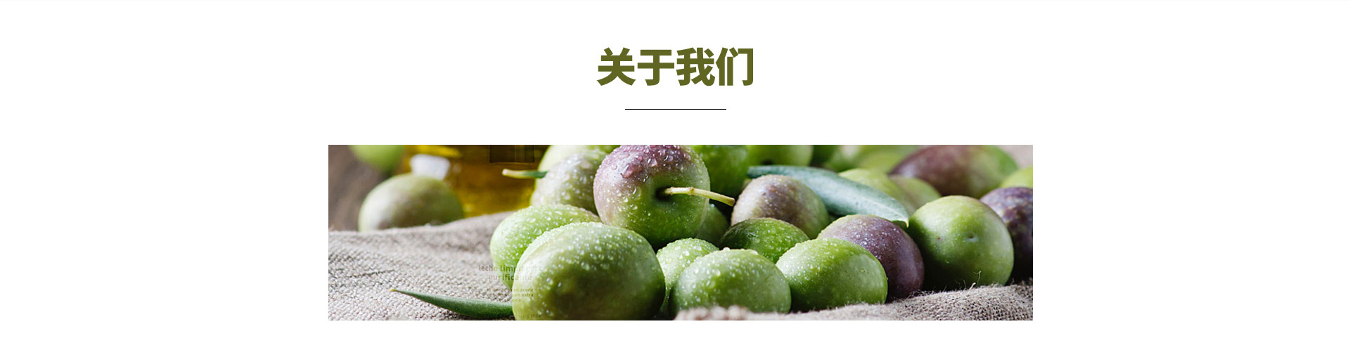 關于我們