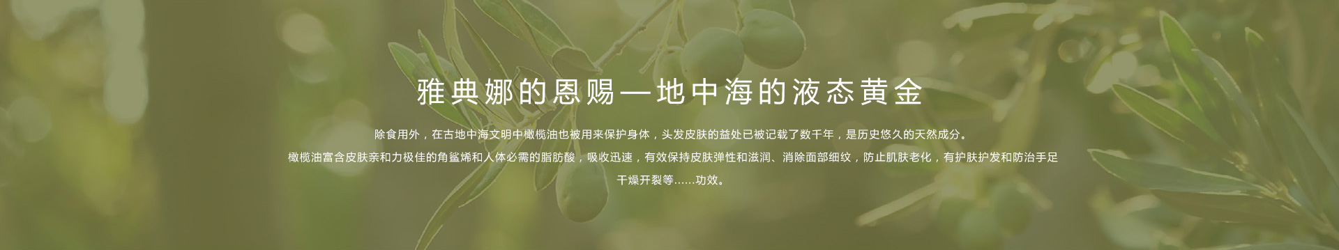 關于我們