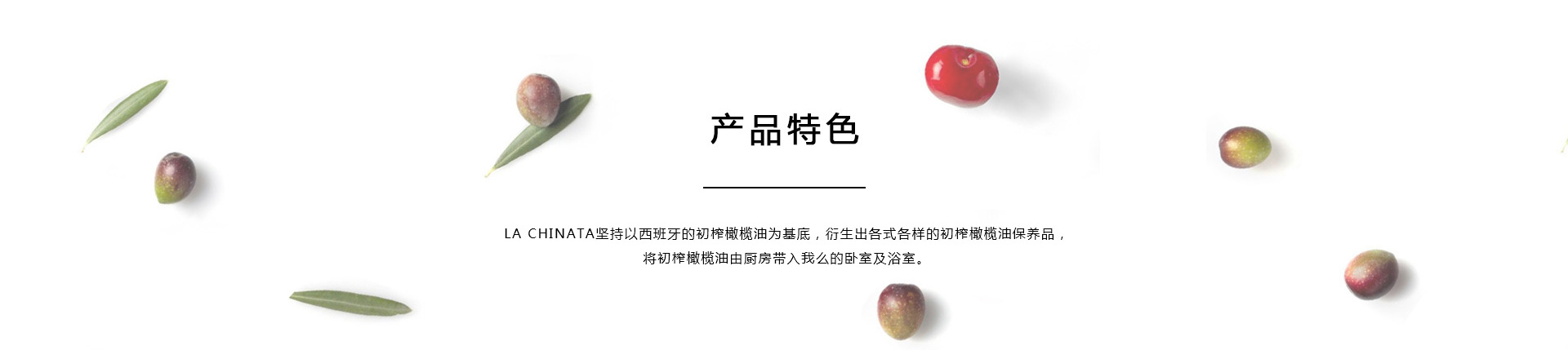 關于我們
